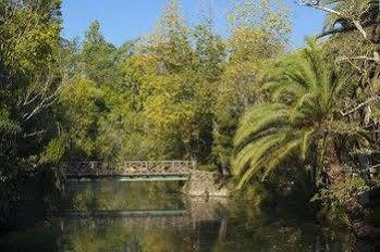 Termas Da Curia Spa Resort Exterior photo